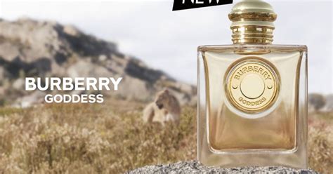 burberry goodess perfume|Burberry goddess perfume samples.